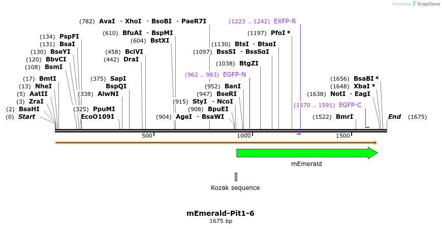84376_map