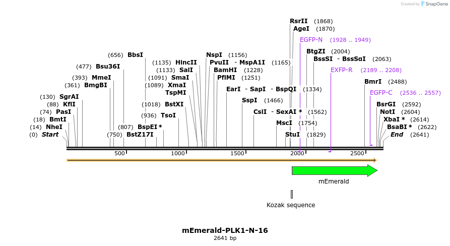 84379_map