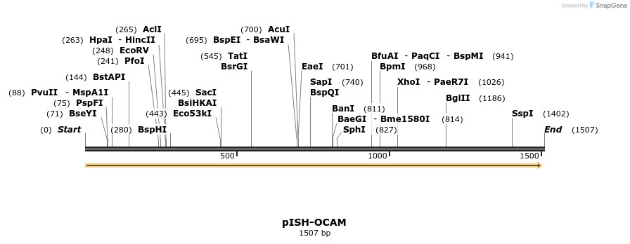8438_map