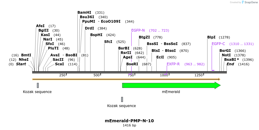 84381_map