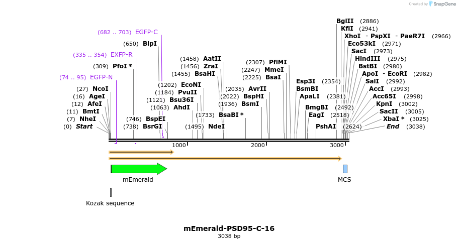 84383_map