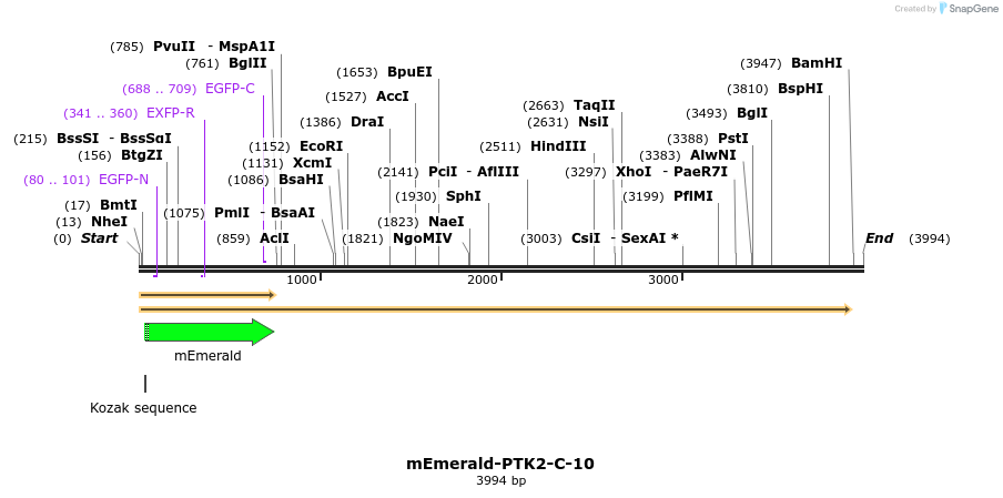 84385_map