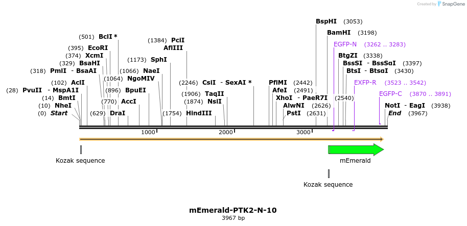 84386_map