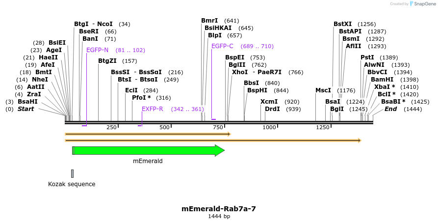 84389_map