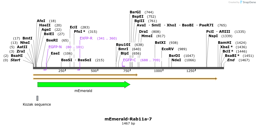 84390_map