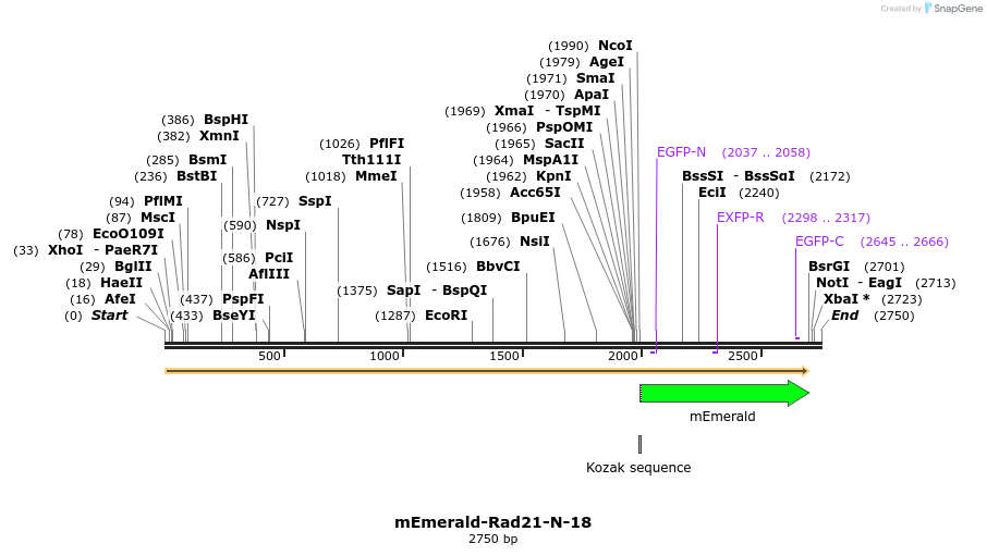 84392_map