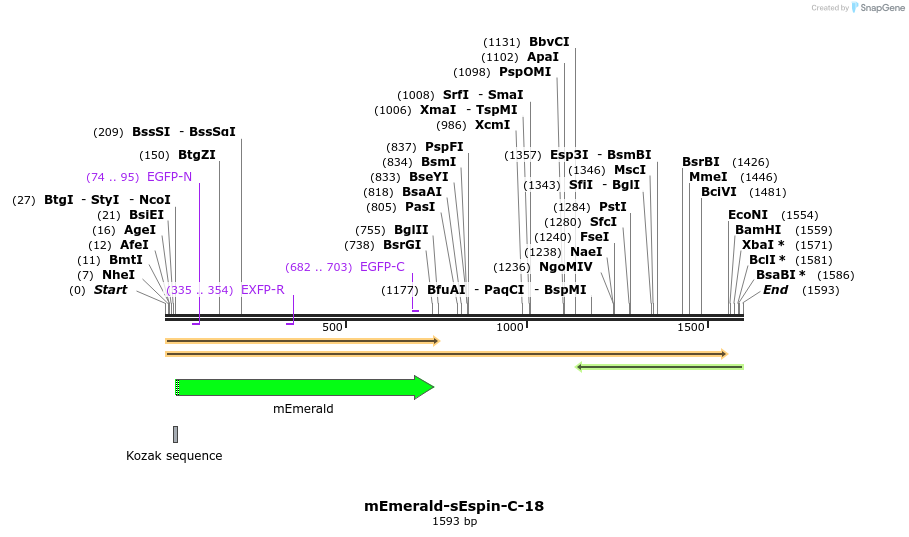 84397_map