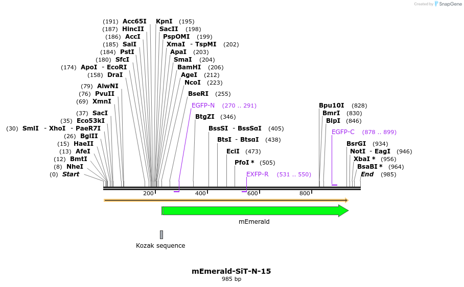 84399_map