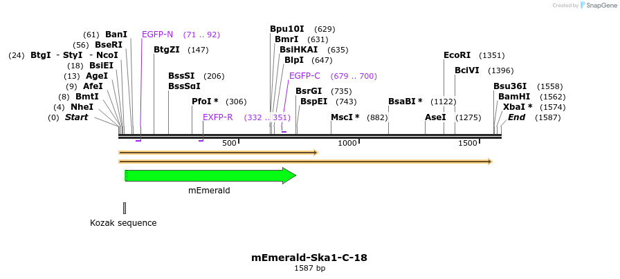 84400_map