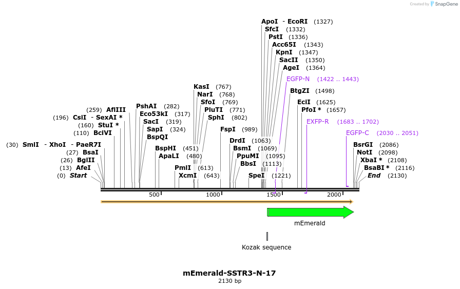 84401_map