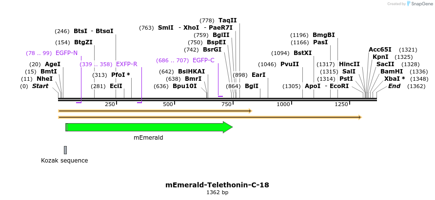 84405_map