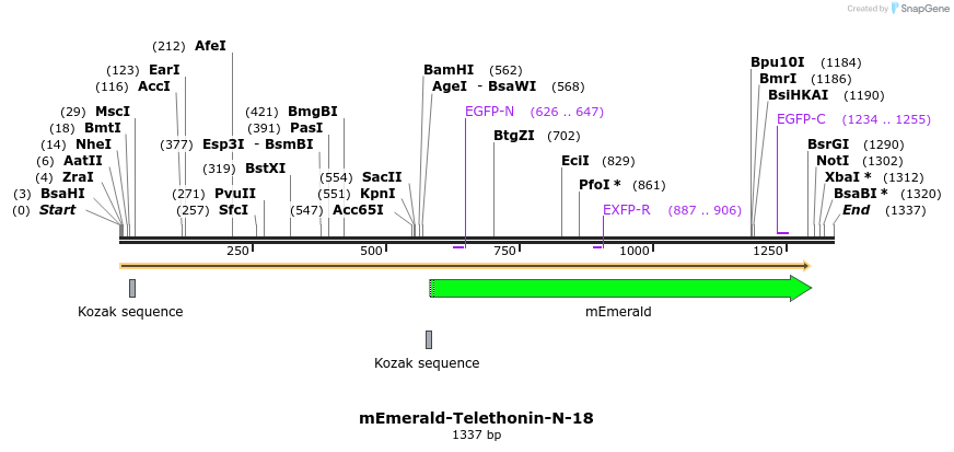 84406_map