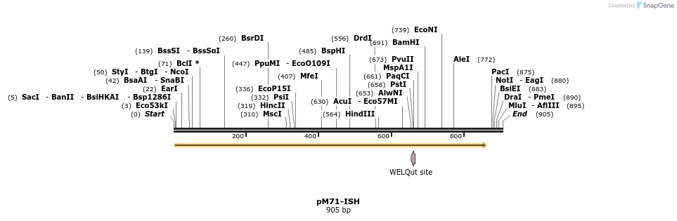 8441_map