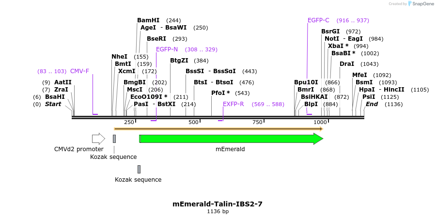 84410_map