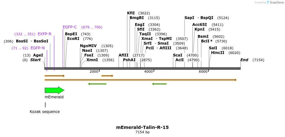 84411_map