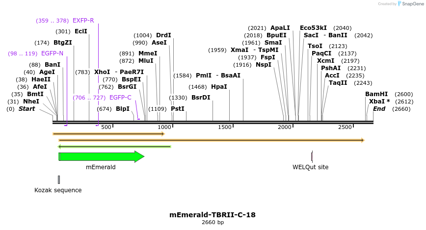 84412_map
