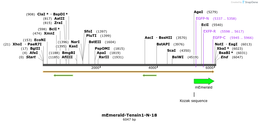 84415_map