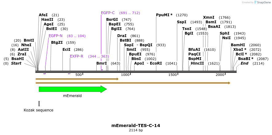 84416_map
