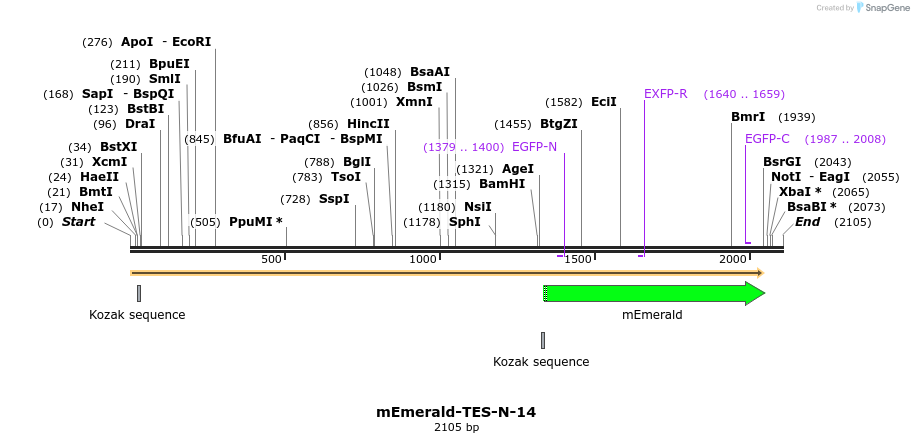 84417_map
