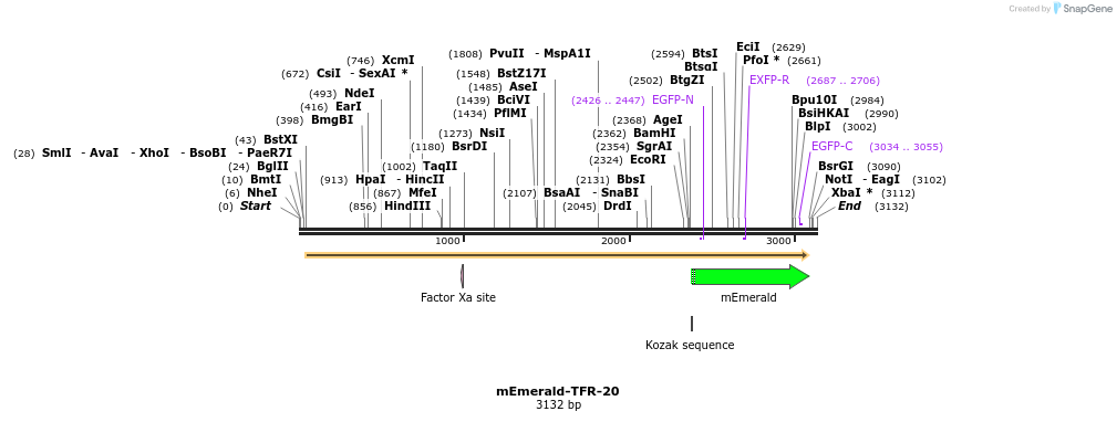 84418_map