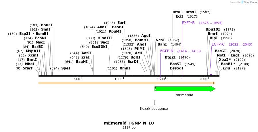 84419_map