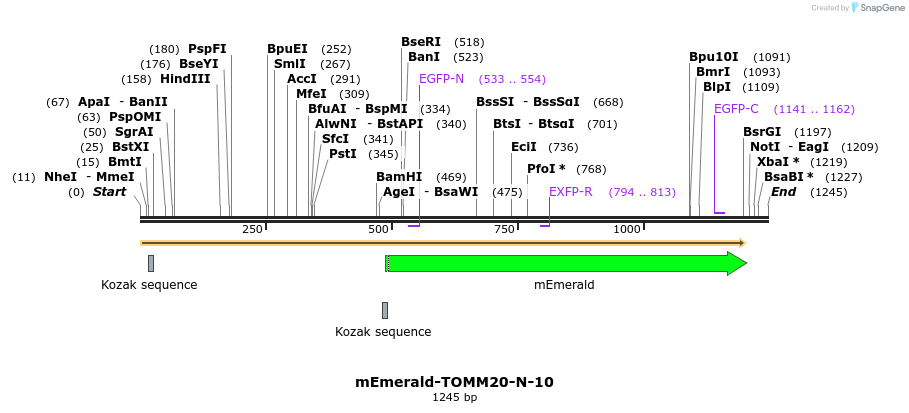 84421_map