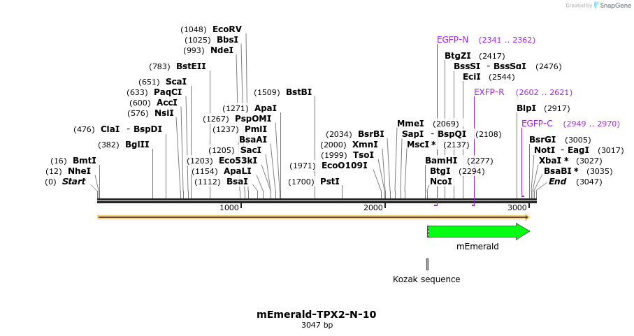 84423_map
