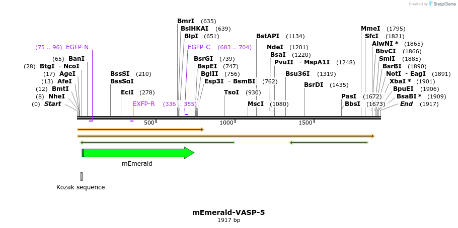 84429_map
