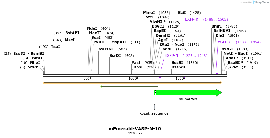 84430_map