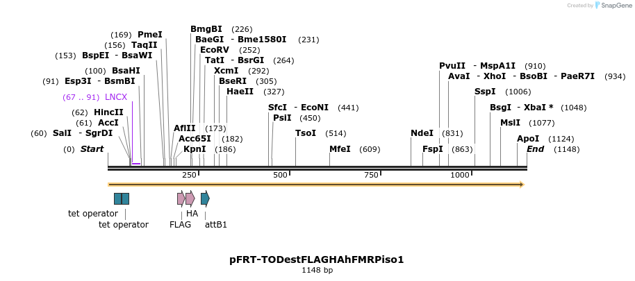 84451_map