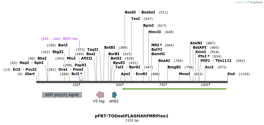 84453_map