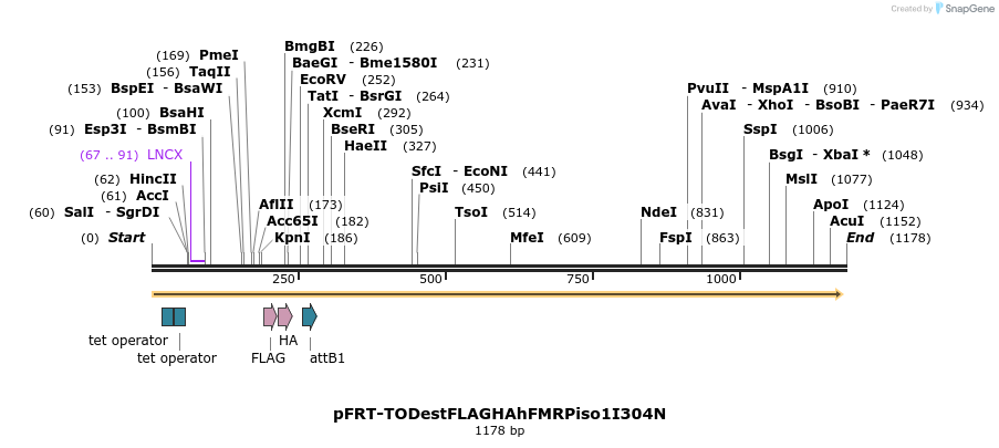 84454_map