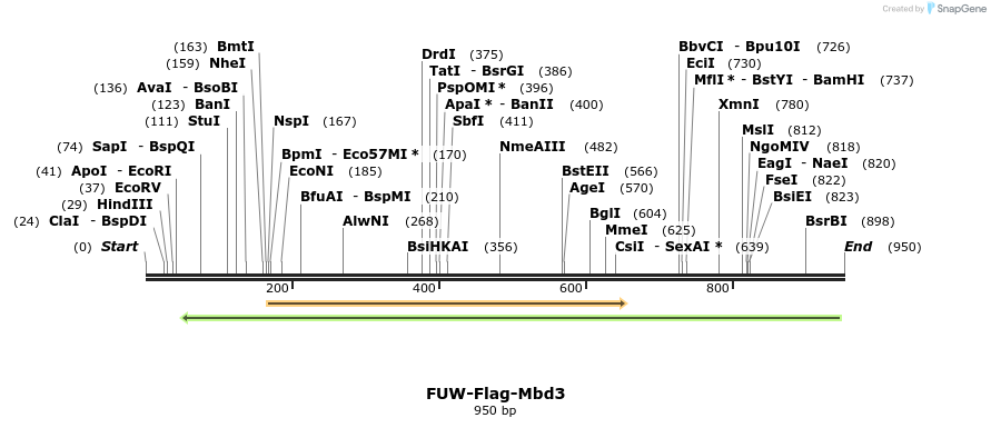 84466_map