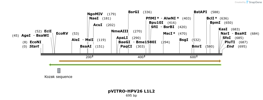 84479_map