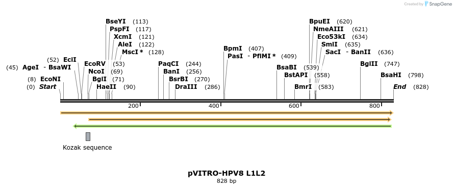 84482_map