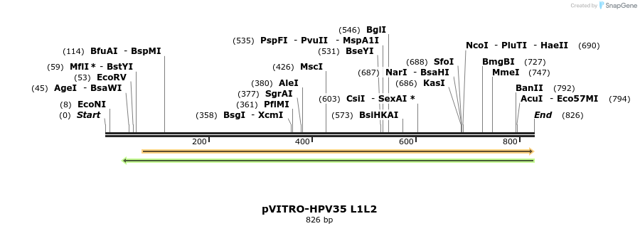 84499_map
