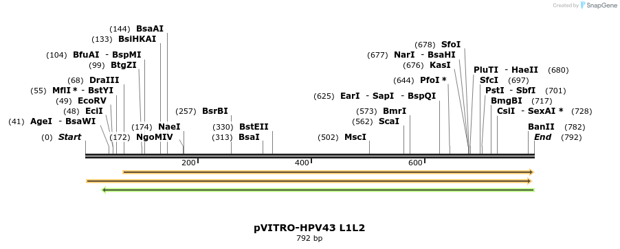 84501_map