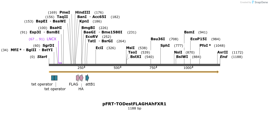 84502_map