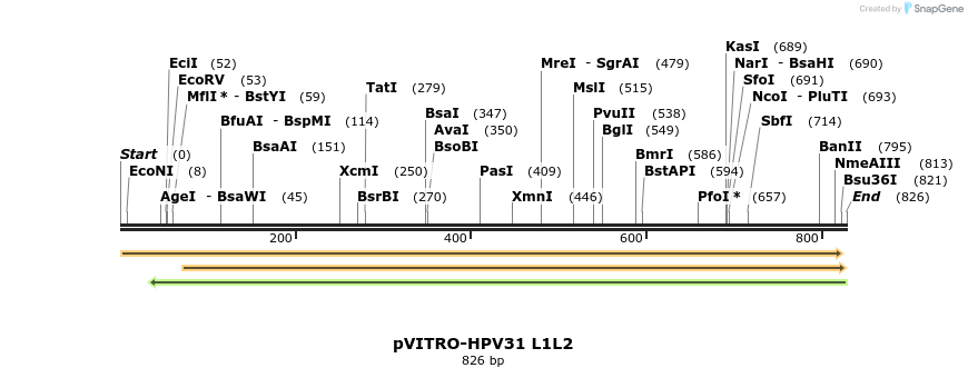 84503_map