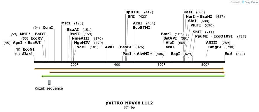 84504_map