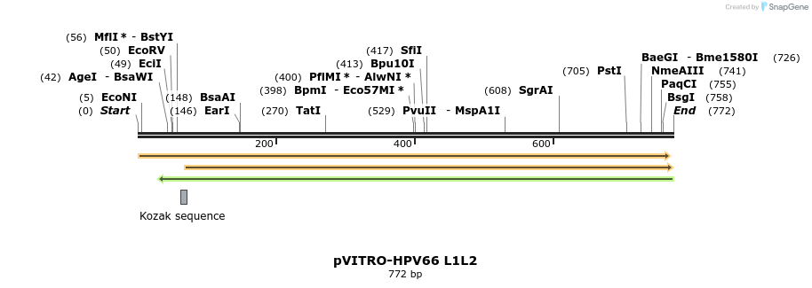 84506_map