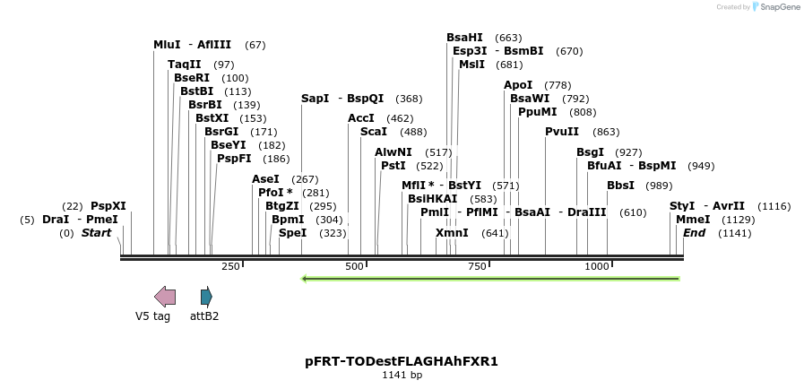 84507_map