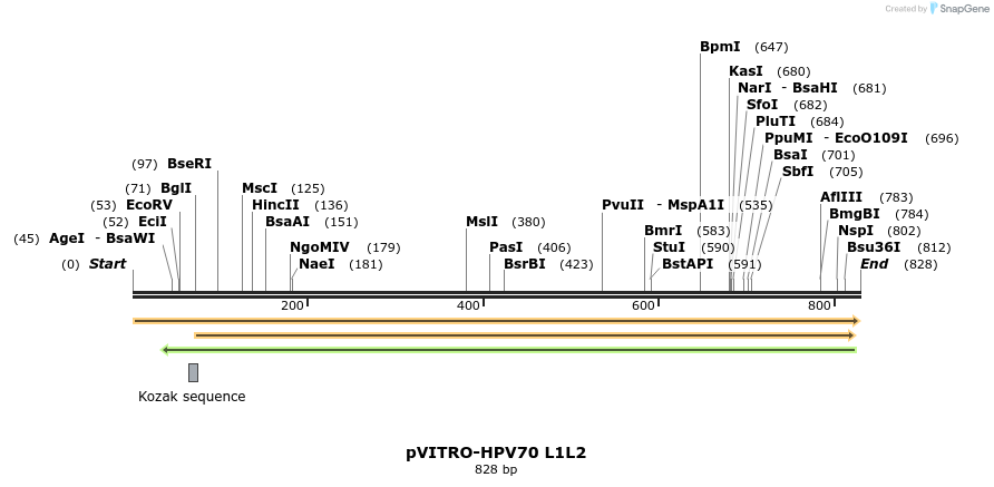 84508_map