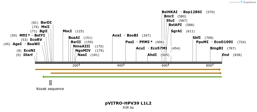 84510_map