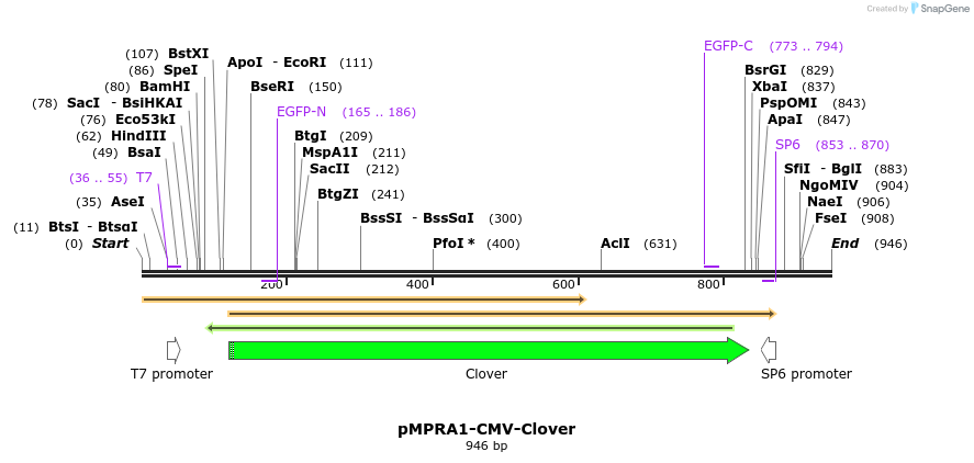 84512_map