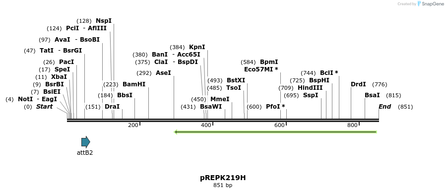 84521_map