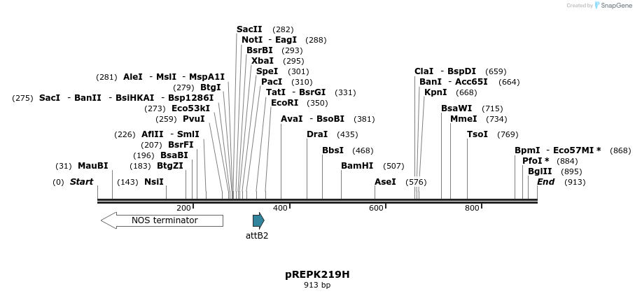 84522_map