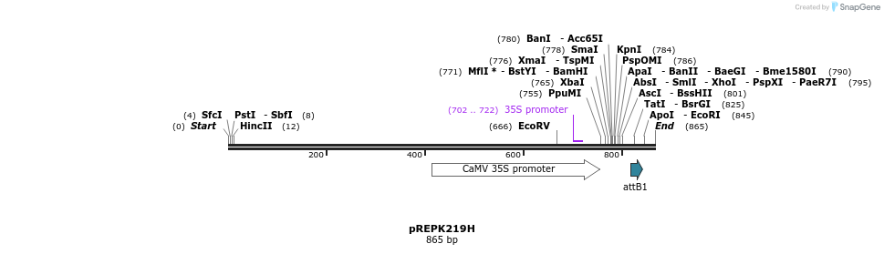 84523_map