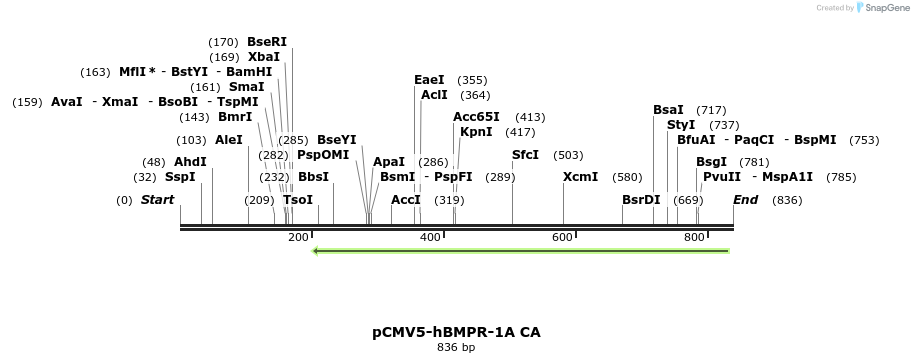 84531_map