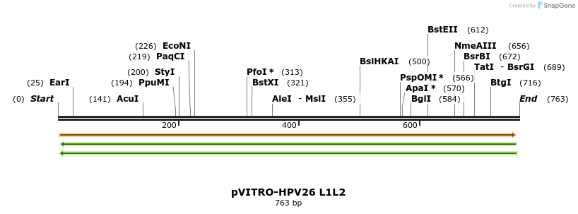 84533_map